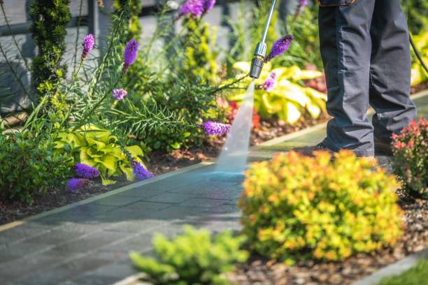 Best Animal Enclosure Cleaning  in Lindenhurst, NY